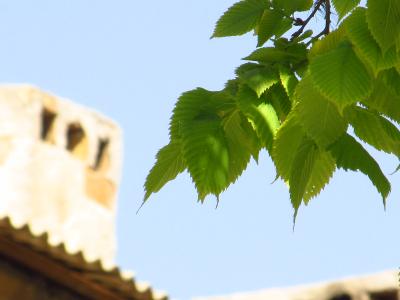 Прикрепленное изображение: IMG_6735.JPG